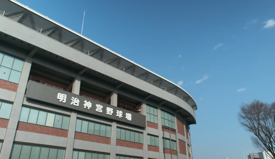 ハイブリッドターフ